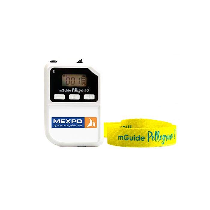 MP2-SKC – channel synchroniser for Pellegrino 2