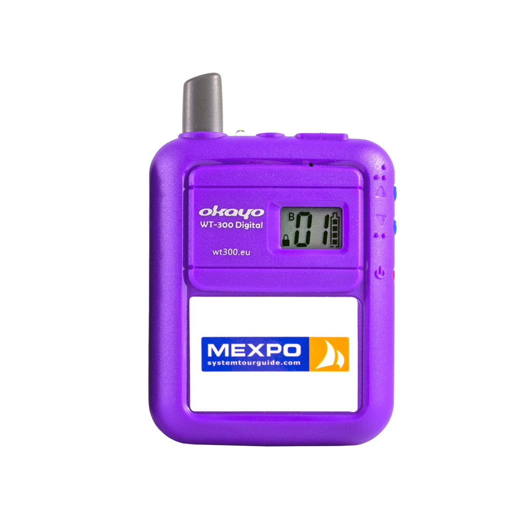 Pack de récepteurs Okayo WT-300D PRO99 (50 pièces) – Image 2