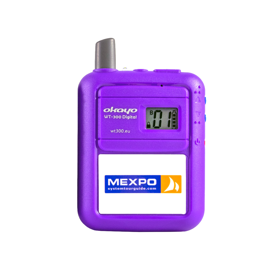 Pacchetto ricevitori Okayo WT-300D PRO99 (100 pezzi) - immagine 2